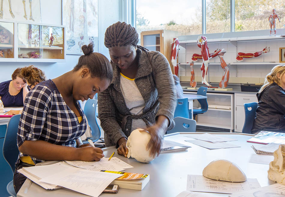 BCC students working in a lab